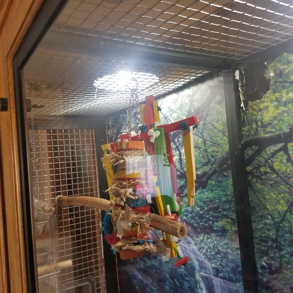 Solid oak parrot cage - Picture 4 of 5